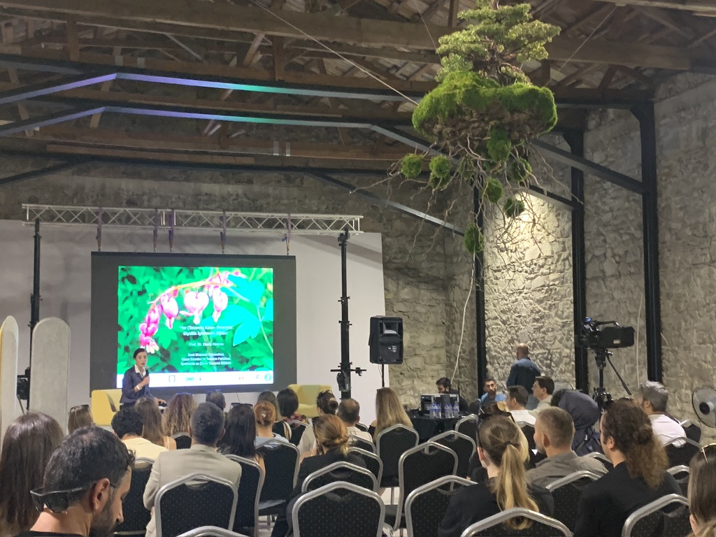 A presentation beneath the suspended green installation at Arch for ME in İzmir.